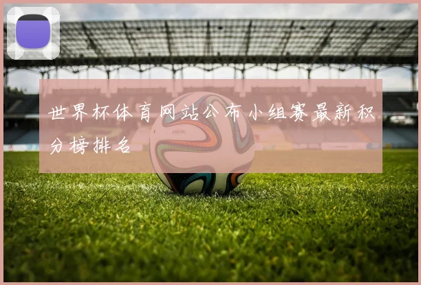 世界杯体育网站公布小组赛最新积分榜排名