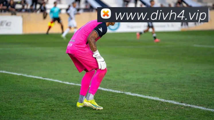 kaiyun「中国大陆」官方网站 - 智慧开云服务平台|登录入口APP 体育赛事宣传图